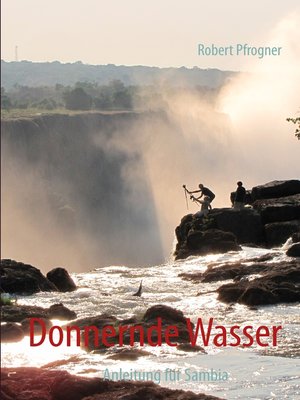 cover image of Donnernde Wasser